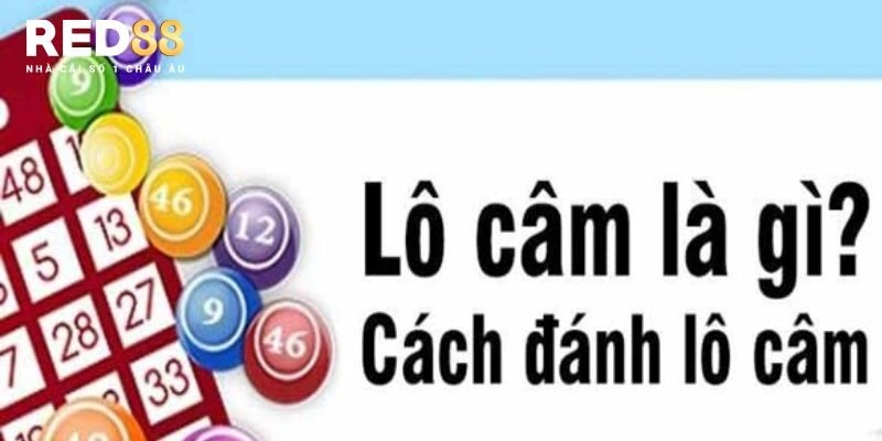 Cách đánh lô câm cực đơn giản và dễ tiếp cận