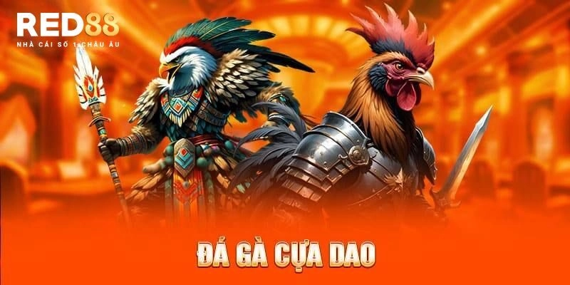 Đá gà cựa dao là bộ môn thể thao như thế nào?