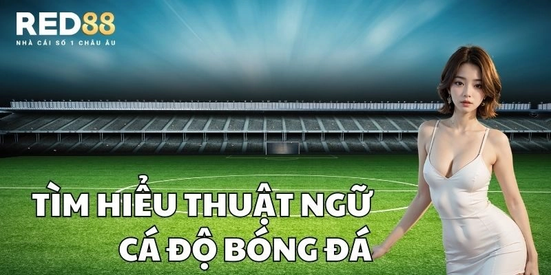 Tìm hiểu thuật ngữ cá độ bóng đá