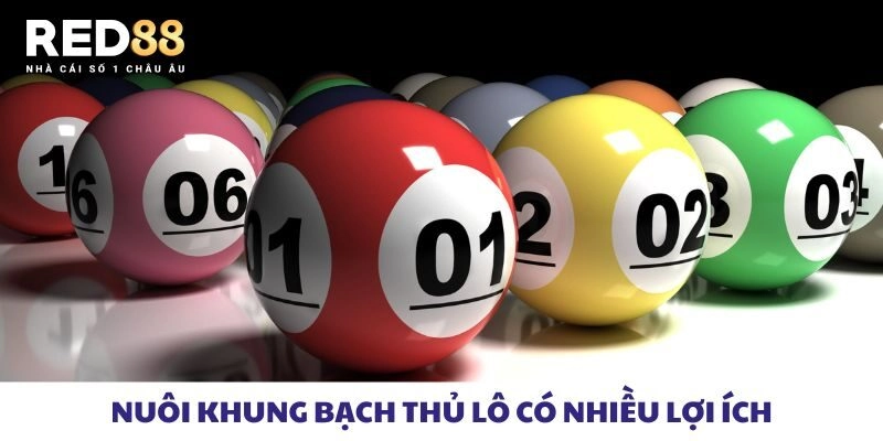 Nuôi khung bạch thủ lô có nhiều lợi ích