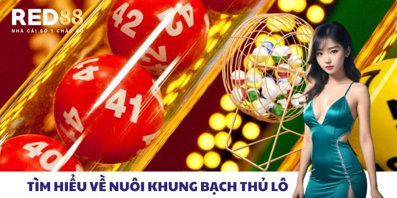 Tìm hiểu về nuôi khung bạch thủ lô